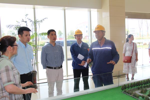 1591924591366672.jpg 1.JPG