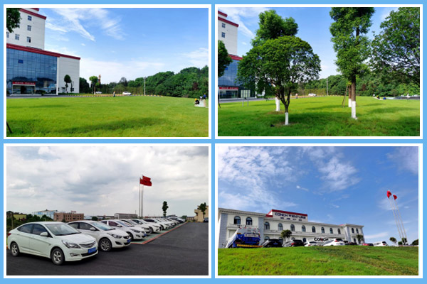 1597630033454127.jpg 2.jpg