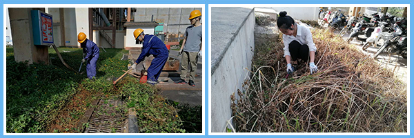 1604126028734534.jpg 2.jpg