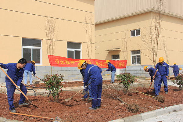 1616137372391037.jpg 圖8.JPG