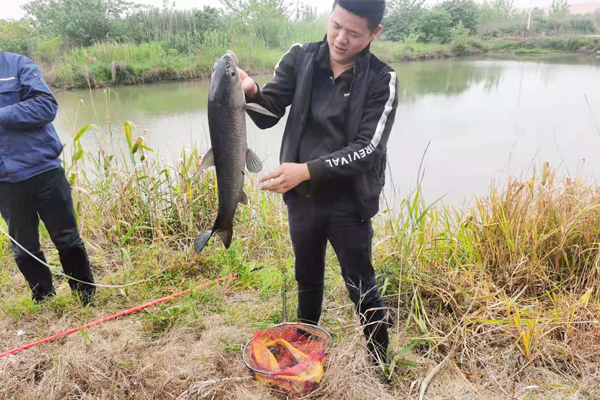 1619482505504069.png 圖片 3.png