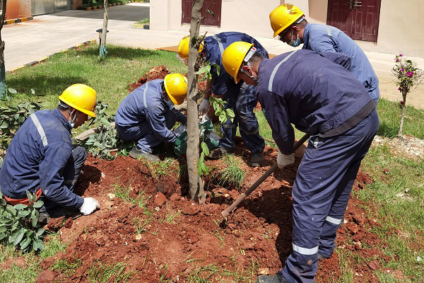 1627279039681390.png 圖片 1.png