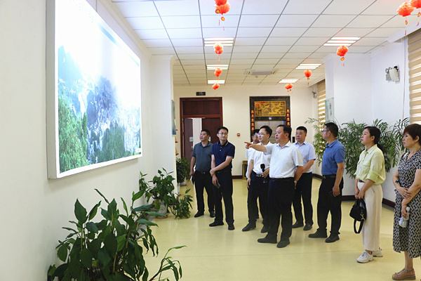 1690882706931523.jpg 3.jpg